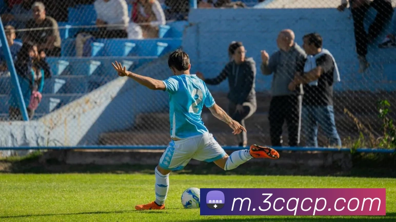 互动解说服务